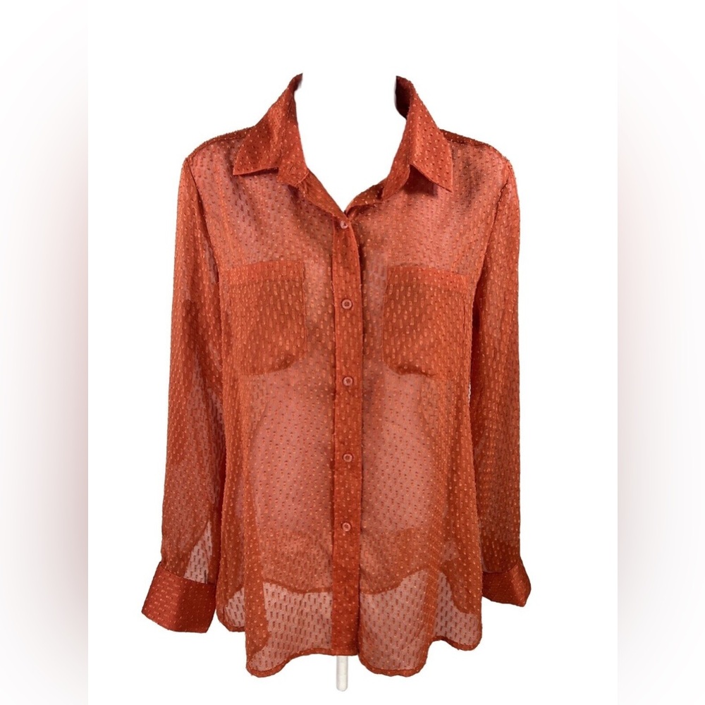 Banana Republic Sheer Textured Button Down